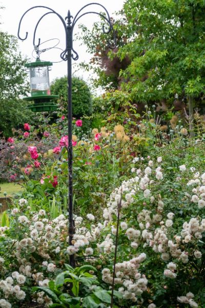 Puppies will eat fallen bird seed, so protect the ground around bird feeders