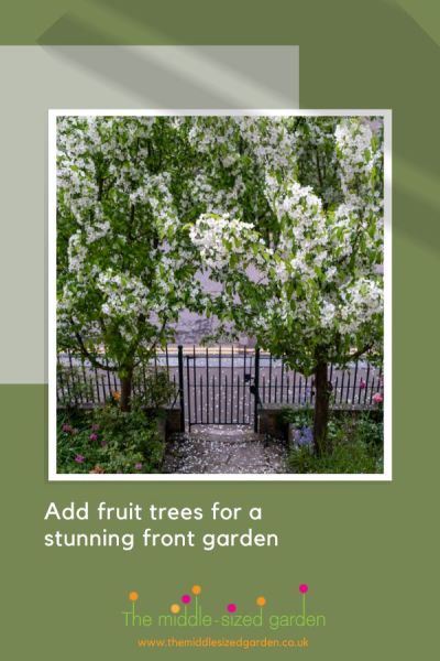 Fruit trees are easy care 