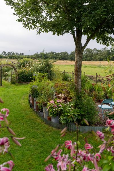 Country cottage garden with views over the fields.