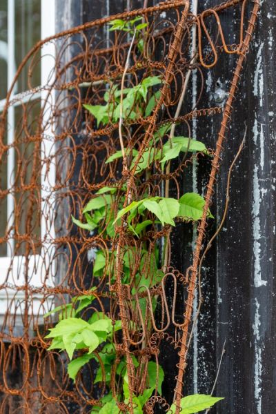 The upcycled sofa seat turned into a garden trellis.