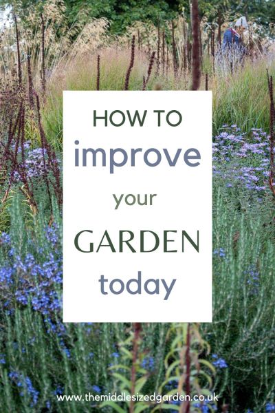 8 tips for the best garden design advice 