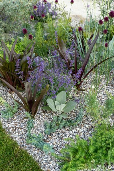 Carol Klein's Iconic Horticultural Hero Garden was one of the prettiest gardens at RHS Hampton Court 2023.