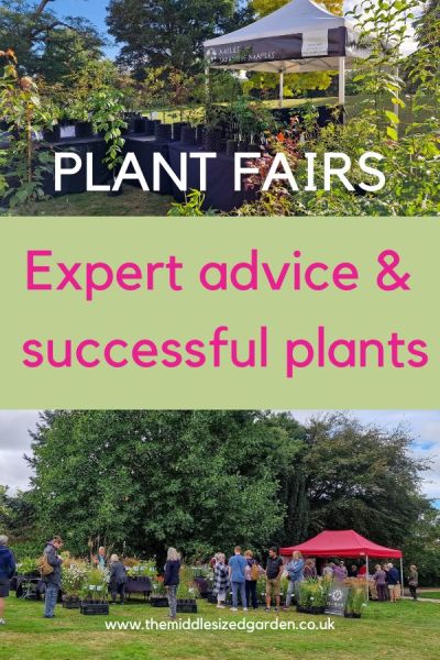 Plant fairs - for expert advice and beautiful plants