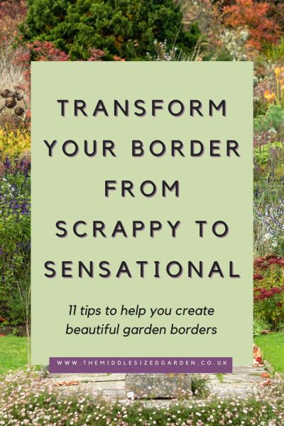 How to revamp a border