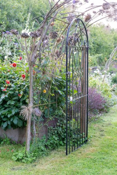 Kathy saw this arch (separately from the gate) lying apparently discarded. She checked with the owners who were happy for her to take it away. It already had chicken wire on it.