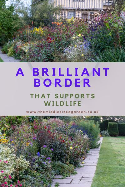 How to support wildlife and have a beautiful garden