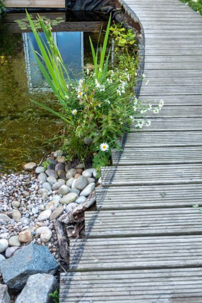 A raised deck walkway creates a habitat beneath