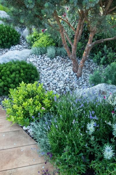 You can have a rock garden without a slope