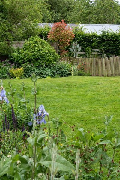 Lawn mown with a battery mower