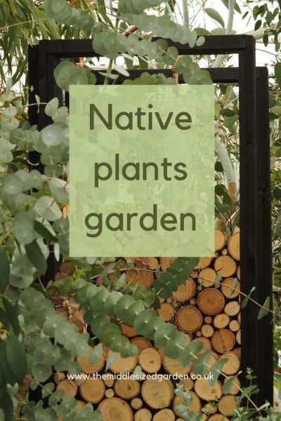 Native plants garden