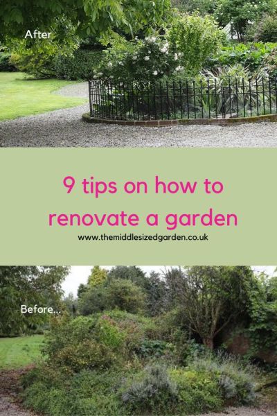 How to renovate a neglected garden