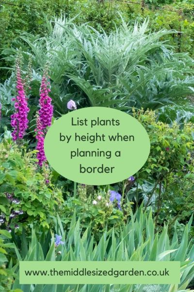 Plan your garden borders with a list of plants