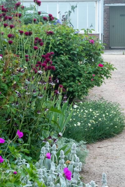 Pick light airy plants throughout the border