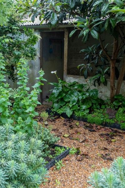 Garden sheds with a tropical feel