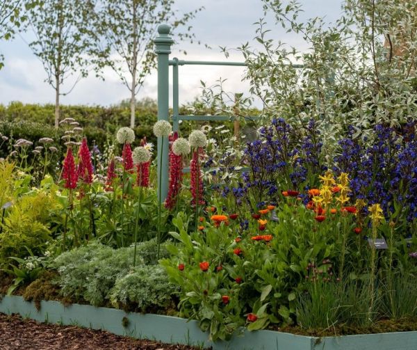 Festival of Flowers show border