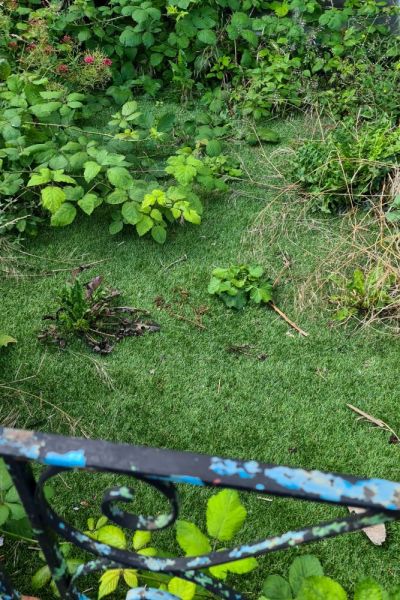 Artificial grass with weeds