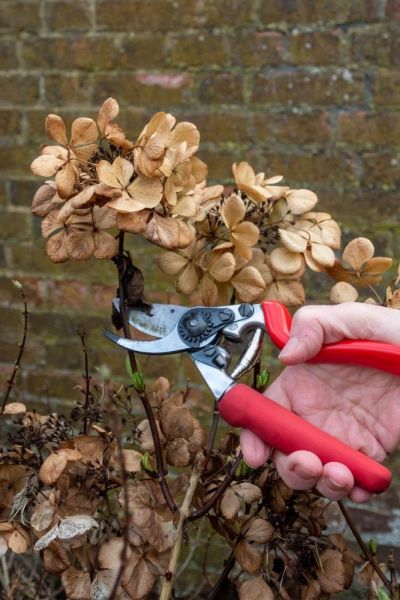 Service your secateurs