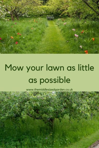 Don't mow your lawn often