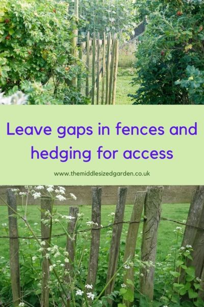 Leave a gap at the base of a hedge or fence