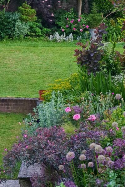 Slugs and snails are valuable to the garden