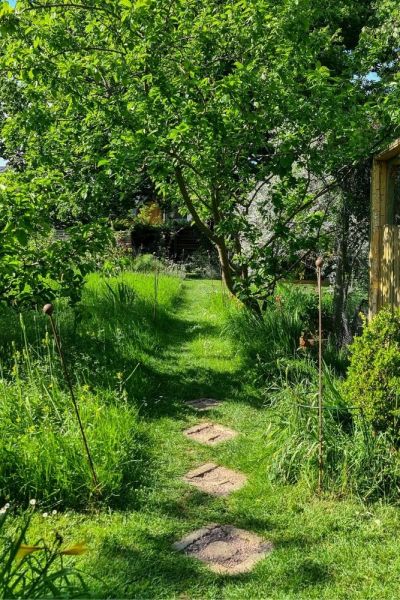 Path through a meadow