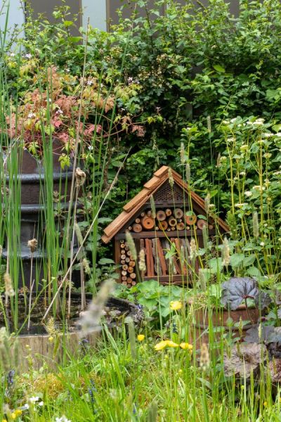 Wild corner of an RHS show.