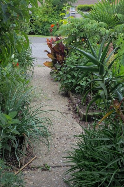 Philip Oostenbrink front garden