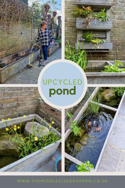 Mini pond made from upcycled farm container