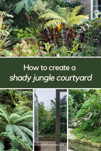 Create a jungle effect with shade loving plants