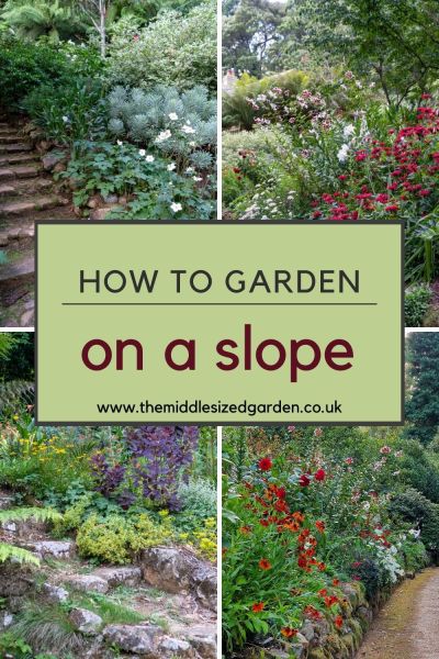 How to garden on a slope