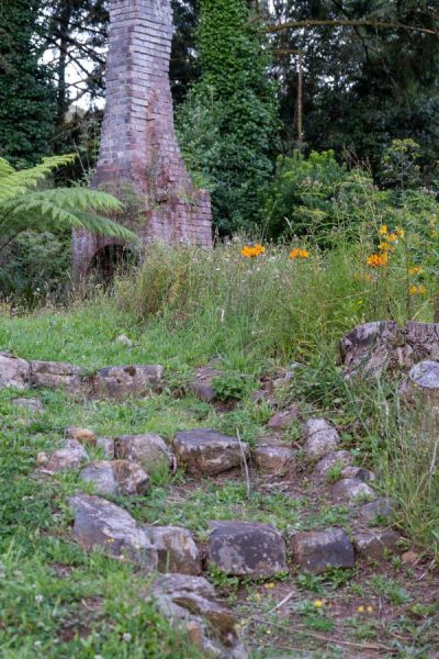 Wild parts of the garden