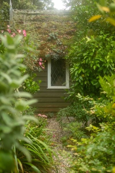 A succulent green roof