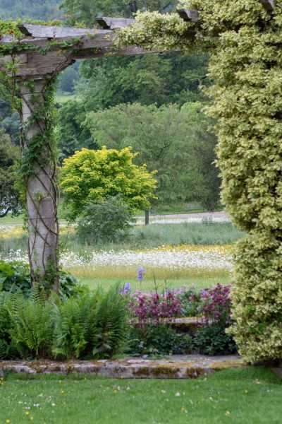 Meadow planting in West Dean Sussex