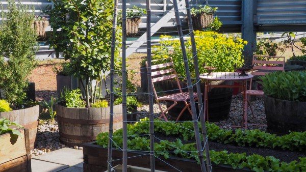 The Eversheds Sutherland roof garden 