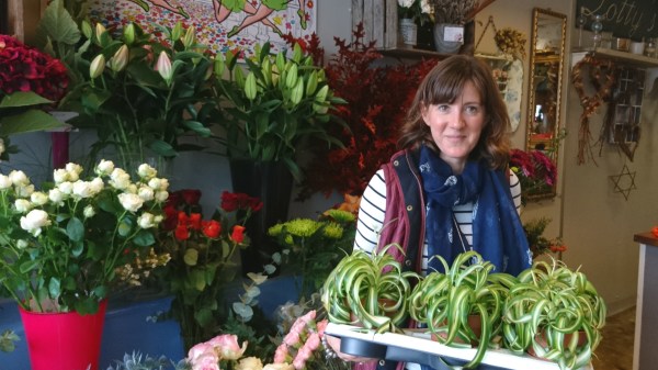 1970s spider plants at Lotty's Flowers