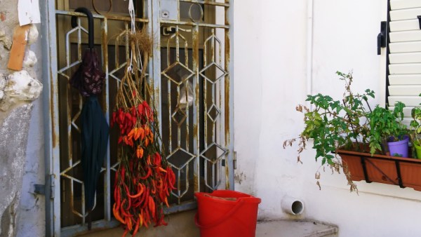 Chillies hanging out to dry outside many houses