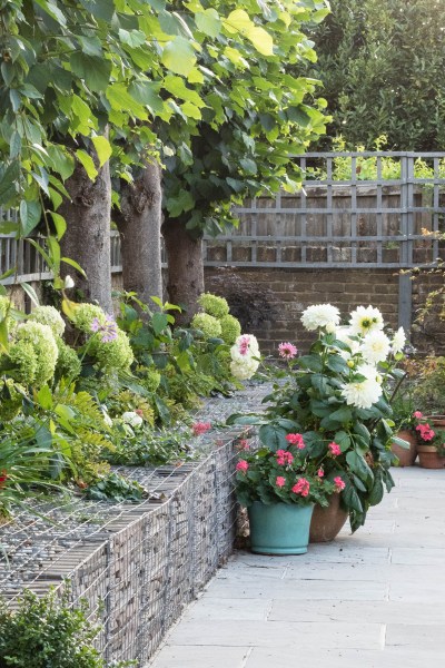 Wire gabions in garden