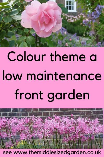 Pink themed low maintenance garden