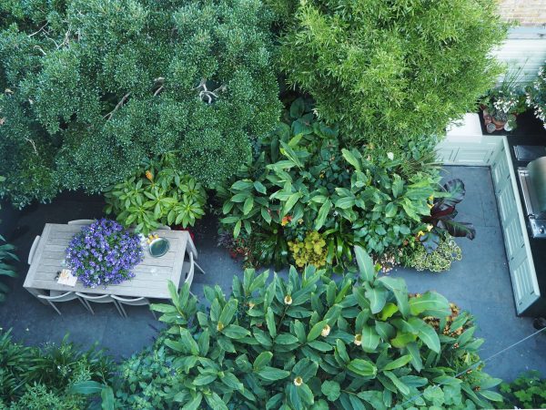 Outdoor kitchen and dining table in a garden for entertaining