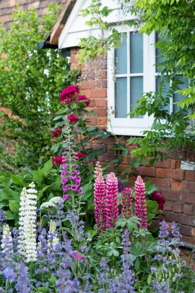 Sue Oriel's cottage garden