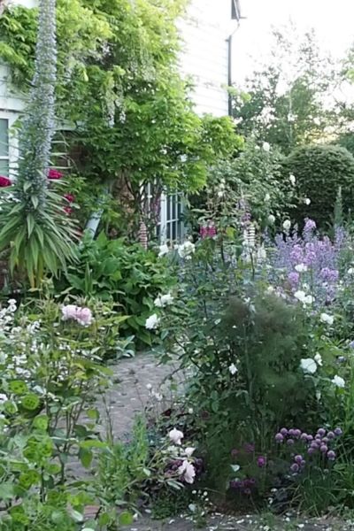 Cottage garden has no lawn