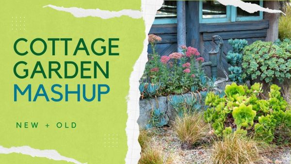 Cottage garden mashup video