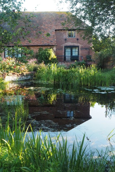 Think about what will be reflected in your garden pond #gardendesign #backyard