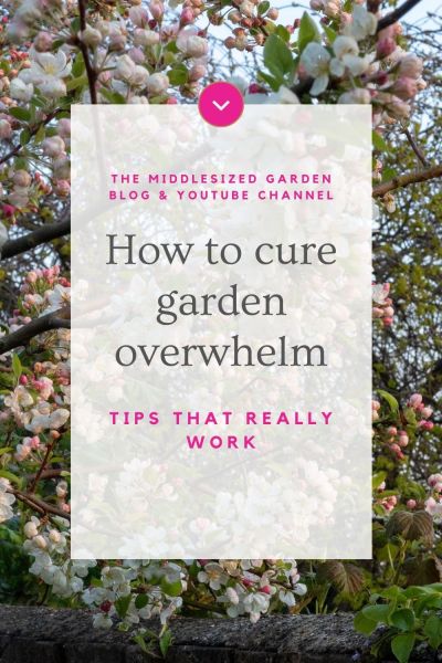 How to manage your garden without being overwhelmed