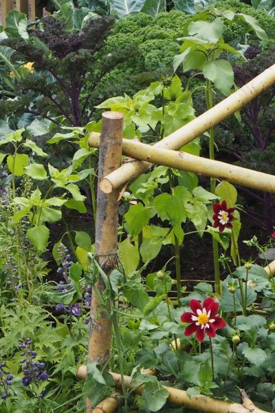 Kale and dahlias in the same border