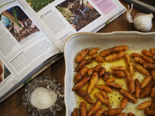 Daylily roots ready for roasting