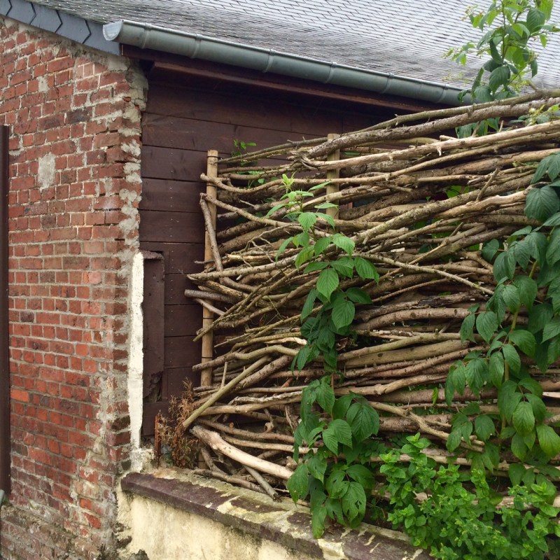 Natural fence