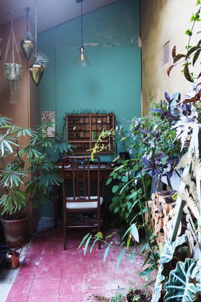 Houseplants and writing desk