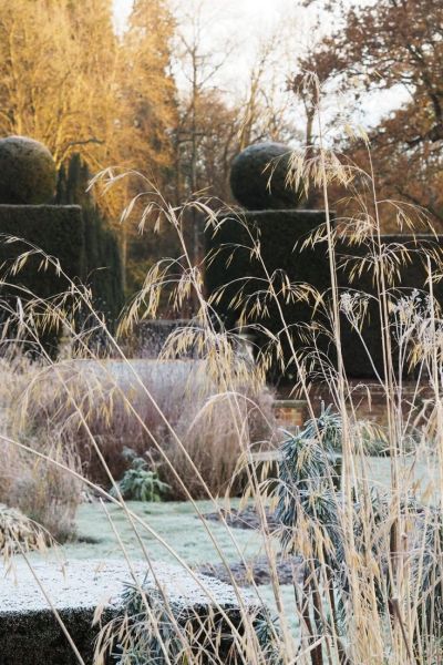 Winter at Doddington Place Gardens