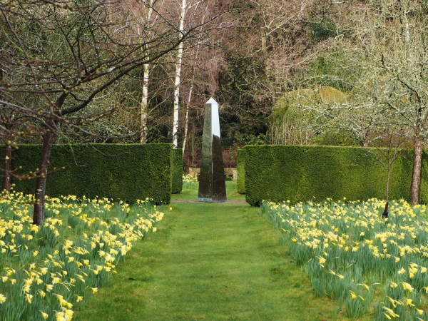 Daffodils at Doddington Place